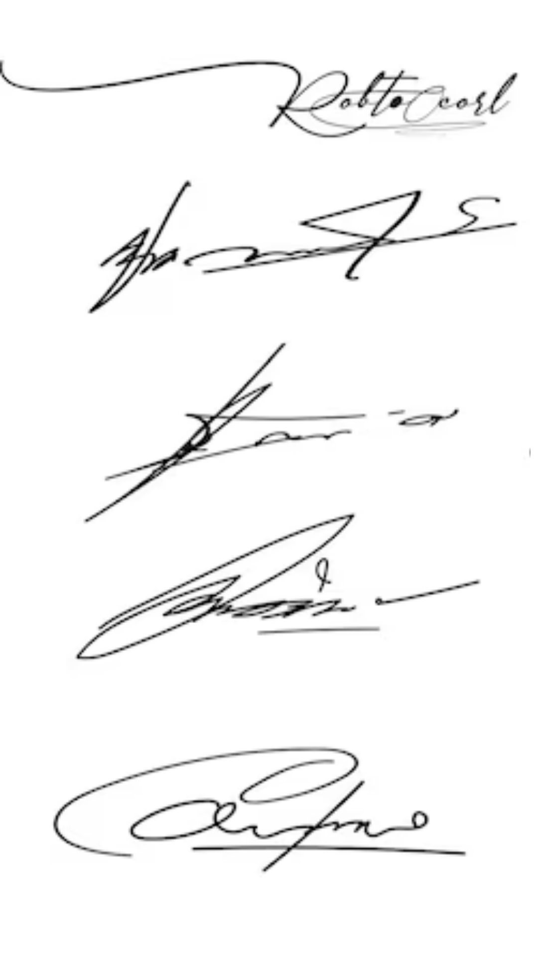 Exemplos de assinaturas autografadas desenhadas à mão estilo 2